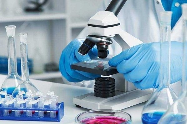 Diagnostic & Laboratory Services
